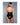 Anise Bodysuit